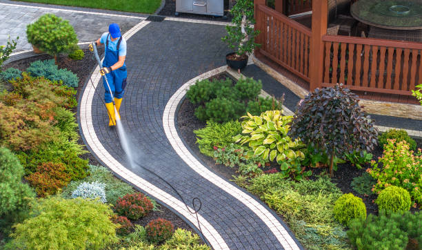 Best Pressure Washing Driveway  in Buda, TX